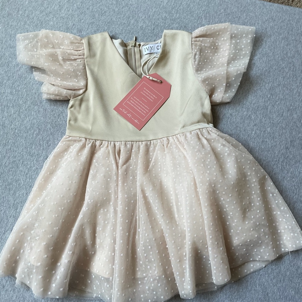 Ivy City Co Mini Party Dress - 12-18M